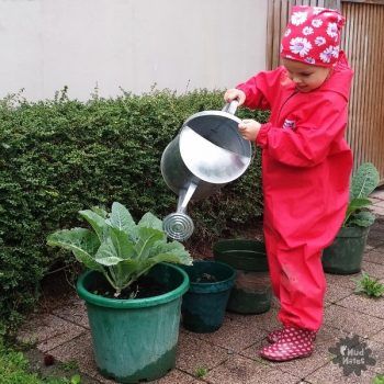 Child watering plants: Creating a Vegetable Garden with Kids