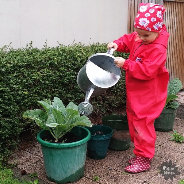 Child watering plants: Creating a Vegetable Garden with Kids