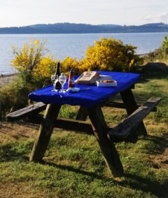 Royal Blue Picnic Table Covers