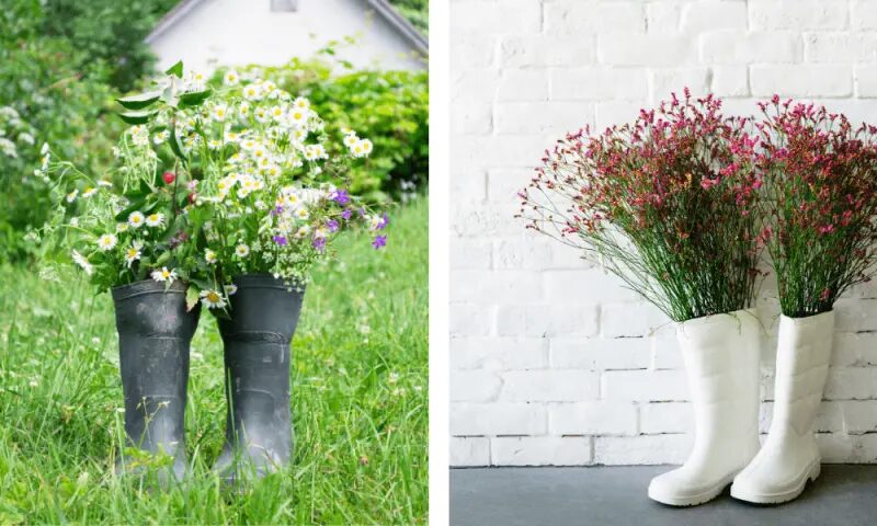 Gumboots being used for container gardening, growing flowers