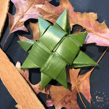 Matariki Activities - flax star weaving