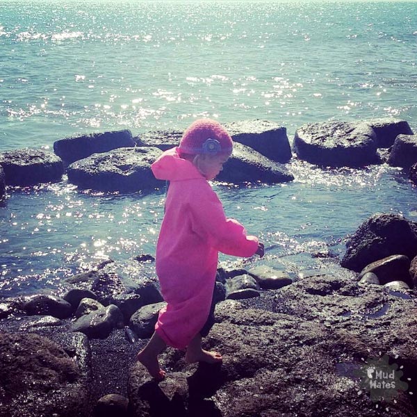 Mud Mates Blog - Fun Rocky Shore Activities for Pre-schoolers