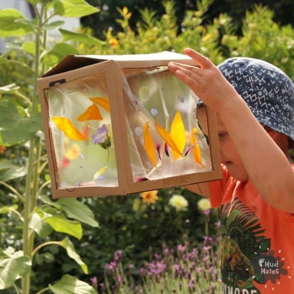 A young boy looking into his spring themed 3D box nature suncatcher