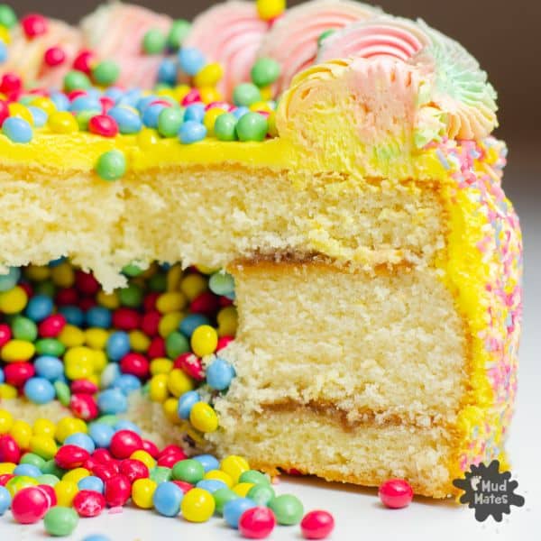 Kids Birthday Cake Ideas - Pinata cake with lollies inside