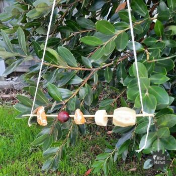 Easy DIY bird feeders to make with kids