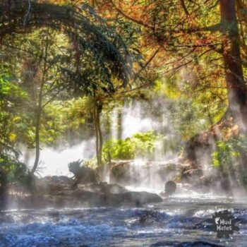 Kerosene Creek. New Zealand Adventures with Kids - Credit Outdoor Kid